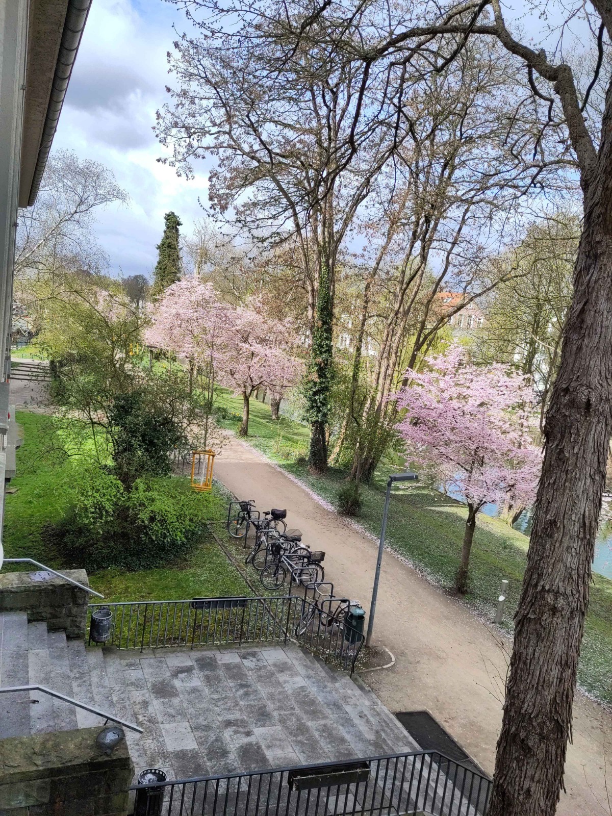 Blick aus dem Fenster am Standort LP